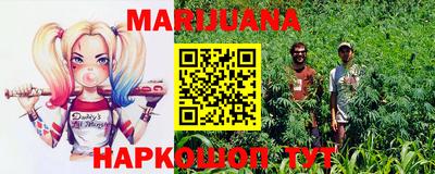 кокс Кингисепп