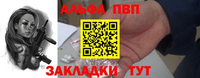 кокс Кингисепп